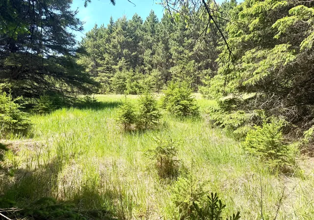 Photo 3 of Sale Pending at Tbd  Parcel C Sleepy Holw Rd, Brainerd, MN 56401 | MLS# 7126567 | Listing updated on 2026-09-15