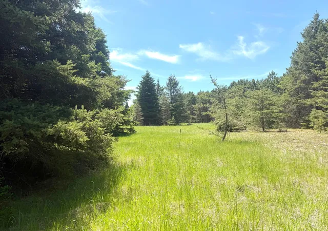 Photo 3 of Sale Pending at Tbd- Parcel C Sleepy Holw Rd, Brainerd, MN 56401 | MLS# 7126567 | Listing updated on 2026-09-15