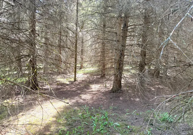Photo 3 of Sale Pending at Tbd  Parcel D Sleepy Holw Rd, Brainerd, MN 56401 | MLS# 7126569 | Listing updated on 2026-09-15