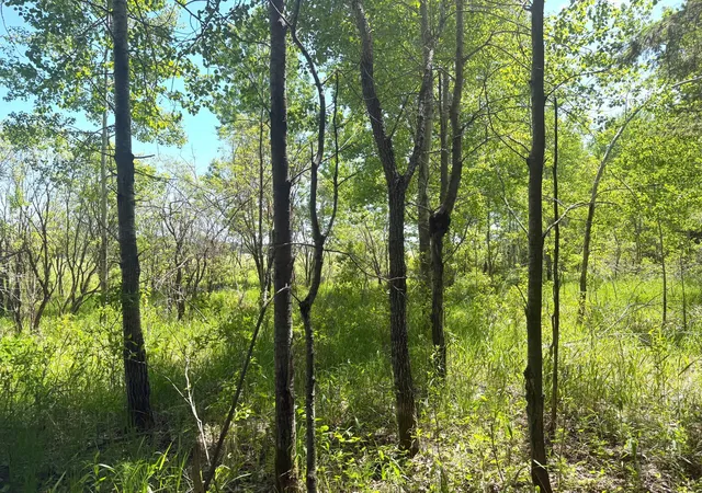 Photo 4 of Sale Pending at Tbd- Parcel D Sleepy Holw Rd, Brainerd, MN 56401 | MLS# 7126569 | Listing updated on 2026-09-15