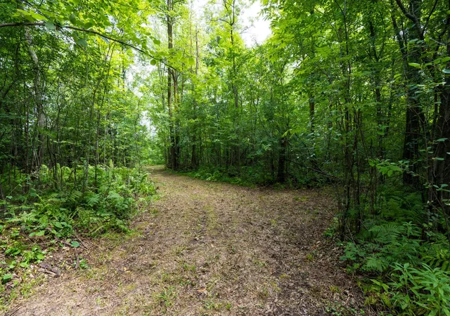 Photo 4 of Sale Pending at 7xxx 200th Street, Milaca, MN 56353 | MLS# 7128187 | Listing updated on 2026-09-10