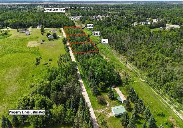 Photo 3 of Land for sale at Lot 2 Parameter Rd, Deer River, MN 56636 | MLS# 7131577 | Listing updated on 2026-09-23