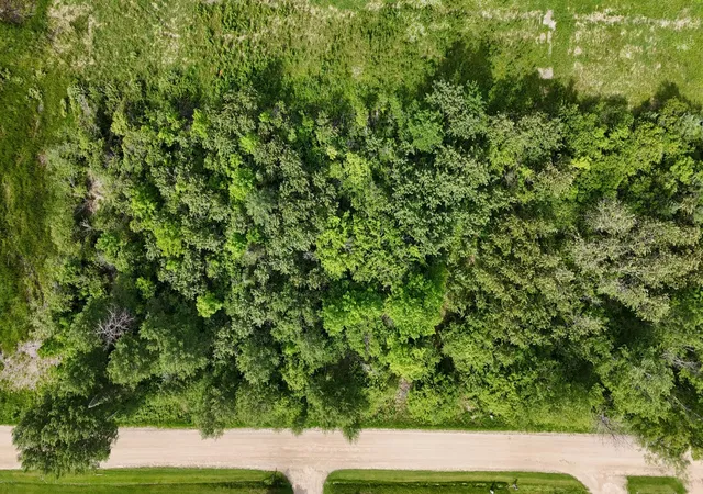 Photo 4 of Land for sale at Lot 2 Parameter Rd, Deer River, MN 56636 | MLS# 7131577 | Listing updated on 2026-09-23