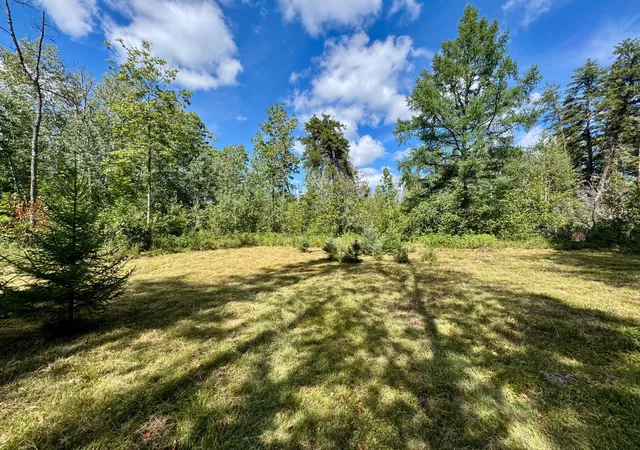 Photo 1 of Sale Pending at Tbd River Forest Rd, Roseau, MN 56751 | MLS# 7134978 | Listing updated on 2026-09-10