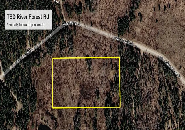 Photo 3 of Sale Pending at Tbd River Forest Rd, Roseau, MN 56751 | MLS# 7134978 | Listing updated on 2026-09-10