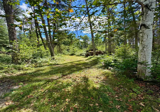 Photo 3 of Sale Pending at Tbd River Forest Rd, Roseau, MN 56751 | MLS# 7134978 | Listing updated on 2026-09-10