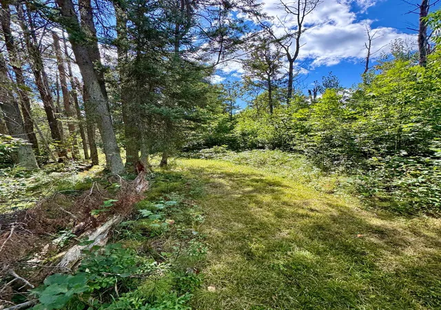 Photo 4 of Sale Pending at Tbd River Forest Rd, Roseau, MN 56751 | MLS# 7134978 | Listing updated on 2026-09-10