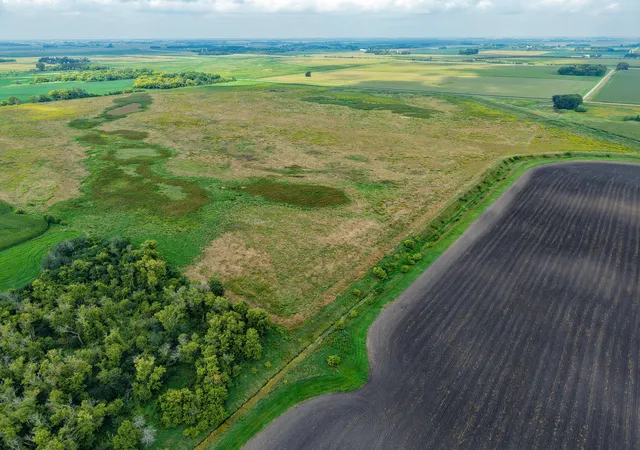 Photo 3 of Land for sale at 62671 110th Ave, Claremont, MN 55924 | MLS# 7135287 | Listing updated on 2026-09-11