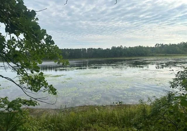 Photo 2 of Sale Pending at 17263 Mission Rd Se, Cass Lake, MN 56633 | MLS# 7136406 | Listing updated on 2026-09-14