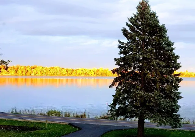 Photo 3 of Single family home for sale at 5369 County Rd 6 SW, Howard Lake, MN 55349 | MLS# 7136499 | Listing updated on 2026-09-14