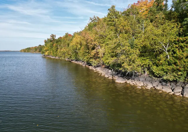 Land for sale at Tbd County Rd 39 NE, Longville, MN 56655 | MLS# 7136626
