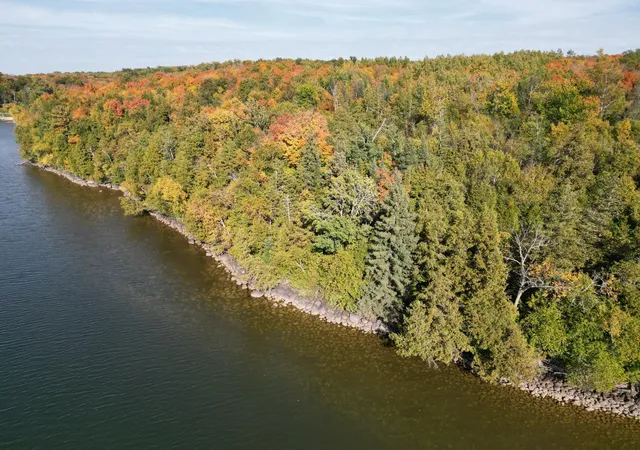Photo 3 of Land for sale at Tbd County Rd 39 Ne, Longville, MN 56655 | MLS# 7136626 | Listing updated on 2026-09-26