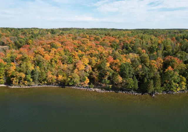 Photo 4 of Land for sale at Tbd County Rd 39 NE, Longville, MN 56655 | MLS# 7136626 | Listing updated on 2026-09-26