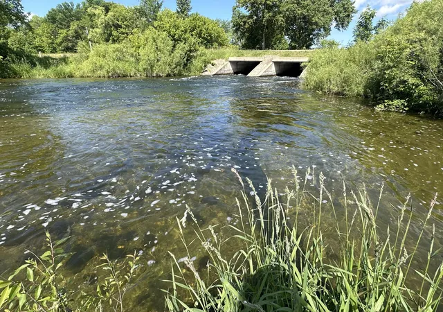 Photo 3 of Land for sale at 18402 Cr 37, Osakis, MN 56360 | MLS# 7137030 | Listing updated on 2026-09-08