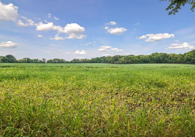 Photo 27 of Single family home for sale at 1519 Hidden Trl, Mayer, MN 55360 | MLS# 7137129 | Listing updated on 2026-09-22