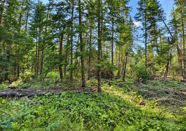 Photo 3 of Land for sale at Xxx County 95, Laporte, MN 56461 | MLS# 7137318 | Listing updated on 2026-09-11