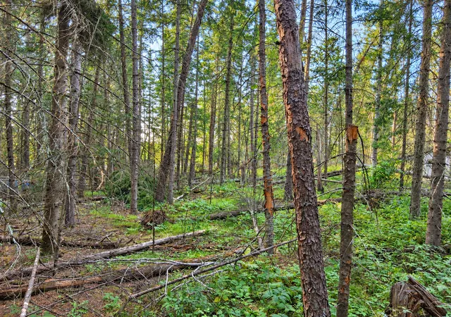 Photo 4 of Land for sale at Xxx County 95, Laporte, MN 56461 | MLS# 7137318 | Listing updated on 2026-09-11