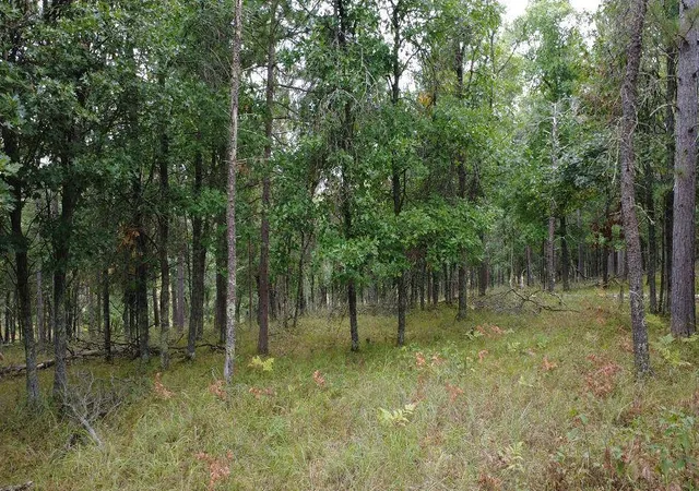 Photo 4 of Sale Pending at Tbd Sugar Shrs C Ct, Minong, WI 54859 | MLS# 7137540 | Listing updated on 2026-09-12
