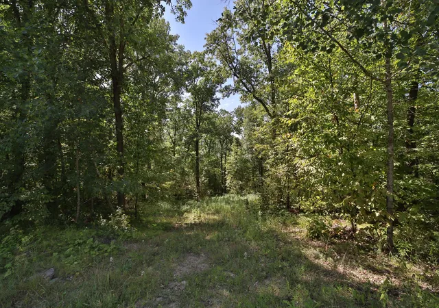 Photo 1 of Land for sale at 49601 Thunderbird Dr, Staples, MN 56479 | MLS# 7137817 | Listing updated on 2026-09-10