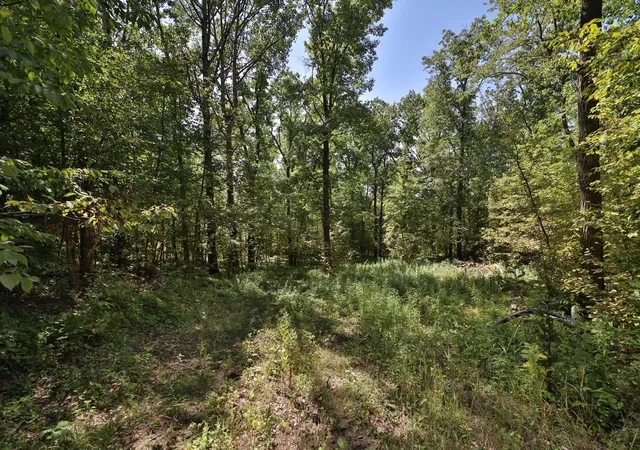 Photo 2 of Land for sale at 49601 Thunderbird Dr, Staples, MN 56479 | MLS# 7137817 | Listing updated on 2026-09-10