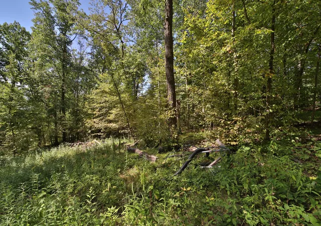 Photo 3 of Land for sale at 49601 Thunderbird Dr, Staples, MN 56479 | MLS# 7137817 | Listing updated on 2026-09-10