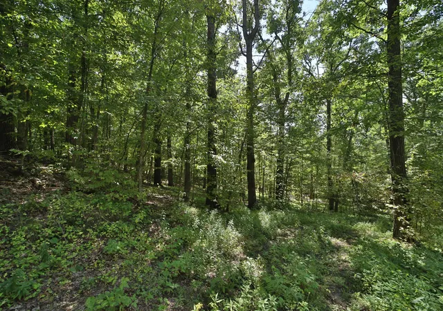 Photo 3 of Land for sale at 49601 Thunderbird Dr, Staples, MN 56479 | MLS# 7137817 | Listing updated on 2026-09-10