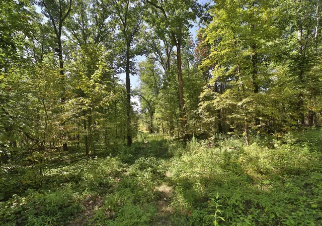 Photo 4 of Land for sale at 49601 Thunderbird Dr, Staples, MN 56479 | MLS# 7137817 | Listing updated on 2026-09-10