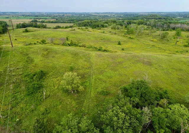 Land for sale at 10918 New Hvn Rd NW, Pine Island, MN 55963 | MLS# 7139053
