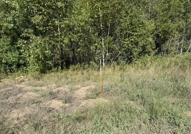 Photo 4 of Land for sale at Tbd 241st Avenue, Stacy, MN 55079 | MLS# 7139209 | Listing updated on 2026-09-10