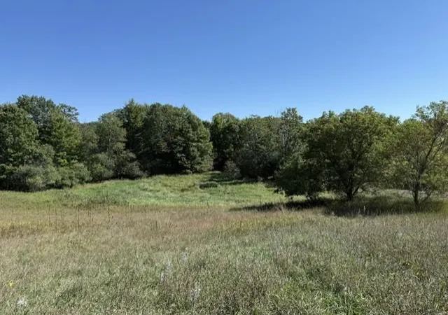 Photo 4 of Land for sale at 0000 241st Avenue NE, Stacy, MN 55079 | MLS# 7139263 | Listing updated on 2026-09-10