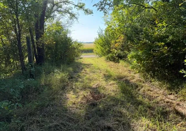 Photo 3 of Single family home for sale at 19202 605 Avenue, Litchfield, MN 55355 | MLS# 7140182 | Listing updated on 2026-09-24