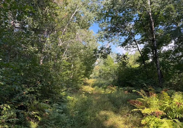 Land for sale at Tbd Klice Rd, Willow River, MN 55795 | MLS# 7140402