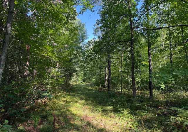 Photo 2 of Land for sale at Tbd Klice Rd, Willow River, MN 55795 | MLS# 7140402 | Listing updated on 2026-09-29