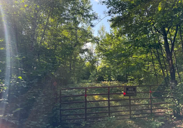 Photo 3 of Land for sale at Tbd Klice Rd, Willow River, MN 55795 | MLS# 7140402 | Listing updated on 2026-09-29