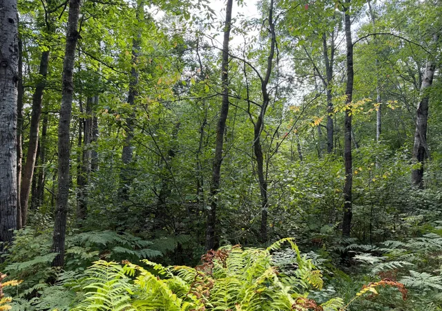 Photo 3 of Land for sale at Tbd Klice Rd, Willow River, MN 55795 | MLS# 7140402 | Listing updated on 2026-09-29