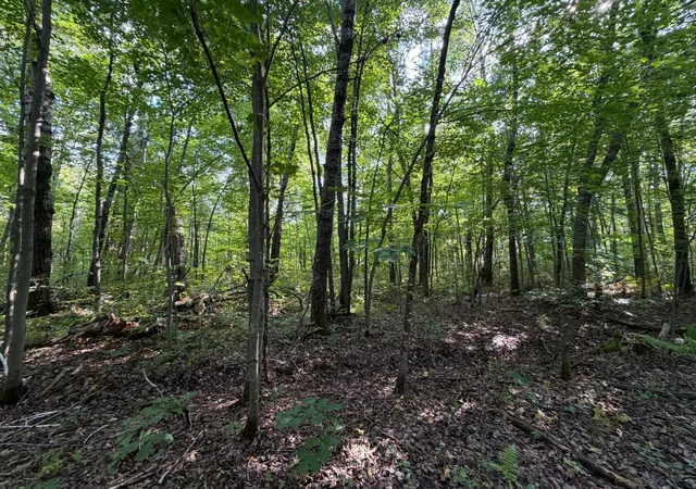 Photo 4 of Land for sale at Tbd Klice Rd, Willow River, MN 55795 | MLS# 7140402 | Listing updated on 2026-09-29