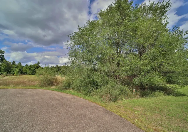 Land for sale at Tbd Grouse Ct, Little Falls, MN 56345 | MLS# 7140417