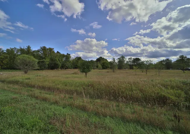 Photo 4 of Land for sale at Tbd Grouse Ct, Little Falls, MN 56345 | MLS# 7140417 | Listing updated on 2026-09-11