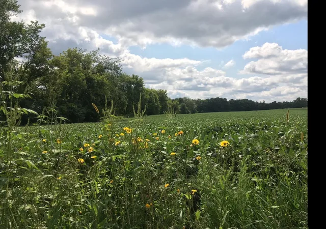 Land for sale at 1405 Hamel Rd, Hamel, MN 55340 | MLS# 7140513
