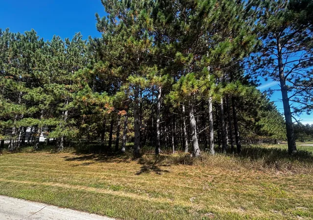 Photo 3 of Land for sale at Tbd Emerald Dr, Alexandria, MN 56308 | MLS# 7140554 | Listing updated on 2026-09-09