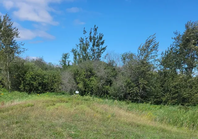 Photo 3 of Sale Pending at Tbd 48th Street Nw, Williams, MN 56686 | MLS# 7140638 | Listing updated on 2026-09-15
