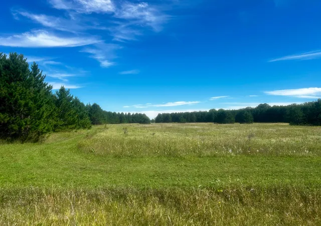Photo 4 of Land for sale at Tbd 560th, New York Mills, MN 56567 | MLS# 7141087 | Listing updated on 2026-09-22