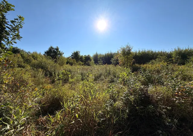 Photo 1 of Land for sale at Tbd 290th Street, Onamia, MN 56359 | MLS# 7141105 | Listing updated on 2026-09-11