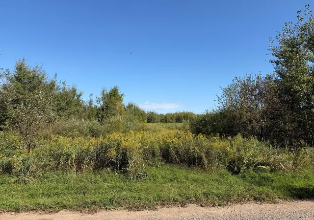 Photo 2 of Land for sale at Tbd 290th Street, Onamia, MN 56359 | MLS# 7141105 | Listing updated on 2026-09-11