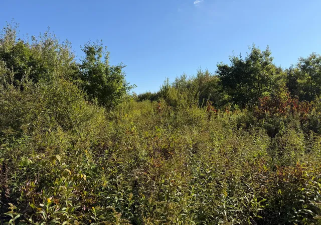 Photo 3 of Land for sale at Tbd 290th Street, Onamia, MN 56359 | MLS# 7141105 | Listing updated on 2026-09-11