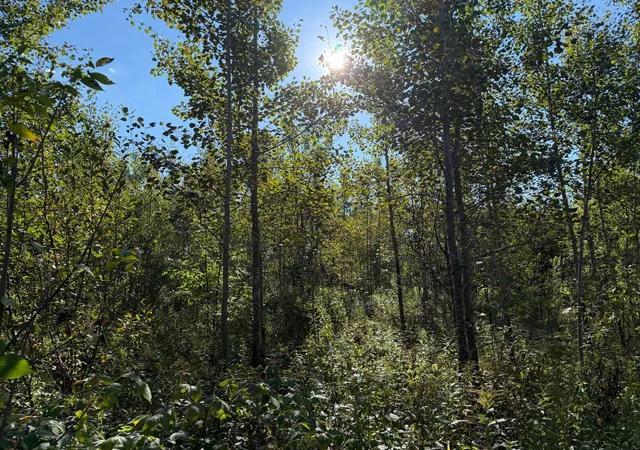 Photo 3 of Land for sale at Tbd 290th Street, Onamia, MN 56359 | MLS# 7141105 | Listing updated on 2026-09-11