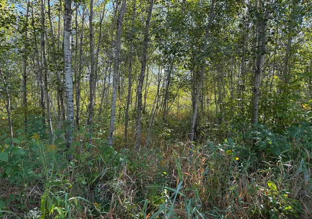 Photo 4 of Land for sale at Tbd 290th Street, Onamia, MN 56359 | MLS# 7141105 | Listing updated on 2026-09-11