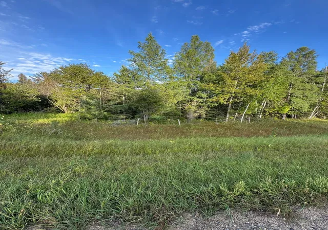 Photo 1 of Land for sale at Tbd Gull Lake Loop Rd, Hines, MN 56647 | MLS# 7141307 | Listing updated on 2026-09-29