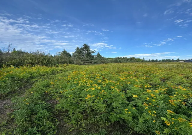 Photo 2 of Land for sale at Tbd Gull Lake Loop Rd, Hines, MN 56647 | MLS# 7141307 | Listing updated on 2026-09-29