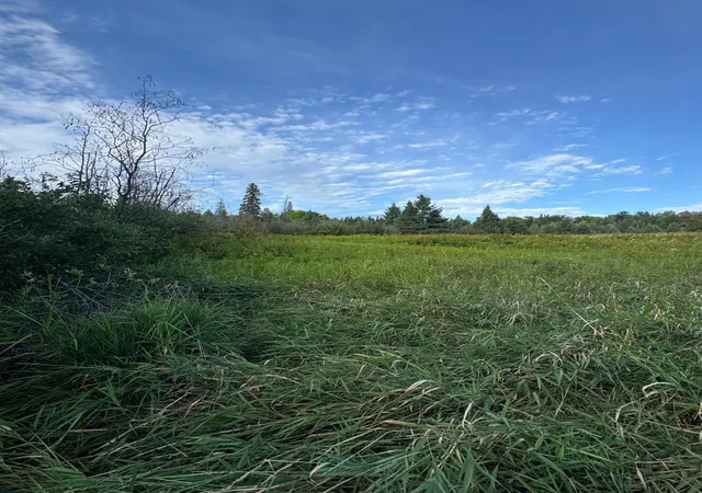 Photo 3 of Land for sale at Tbd Gull Lake Loop Rd, Hines, MN 56647 | MLS# 7141307 | Listing updated on 2026-09-29